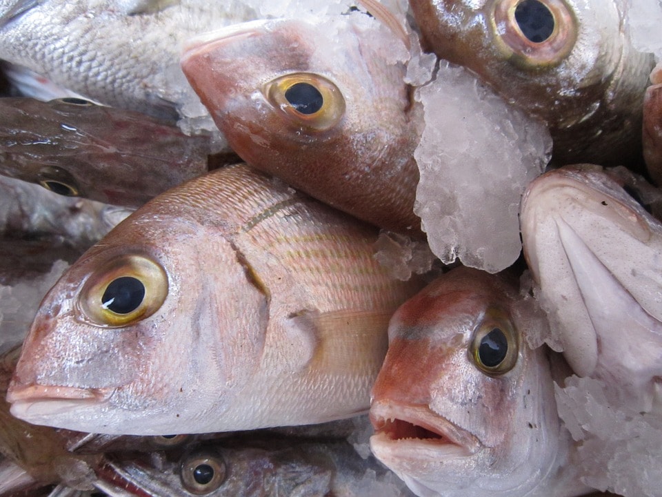 En qué debes fijarte para saber si está el pescado fresco