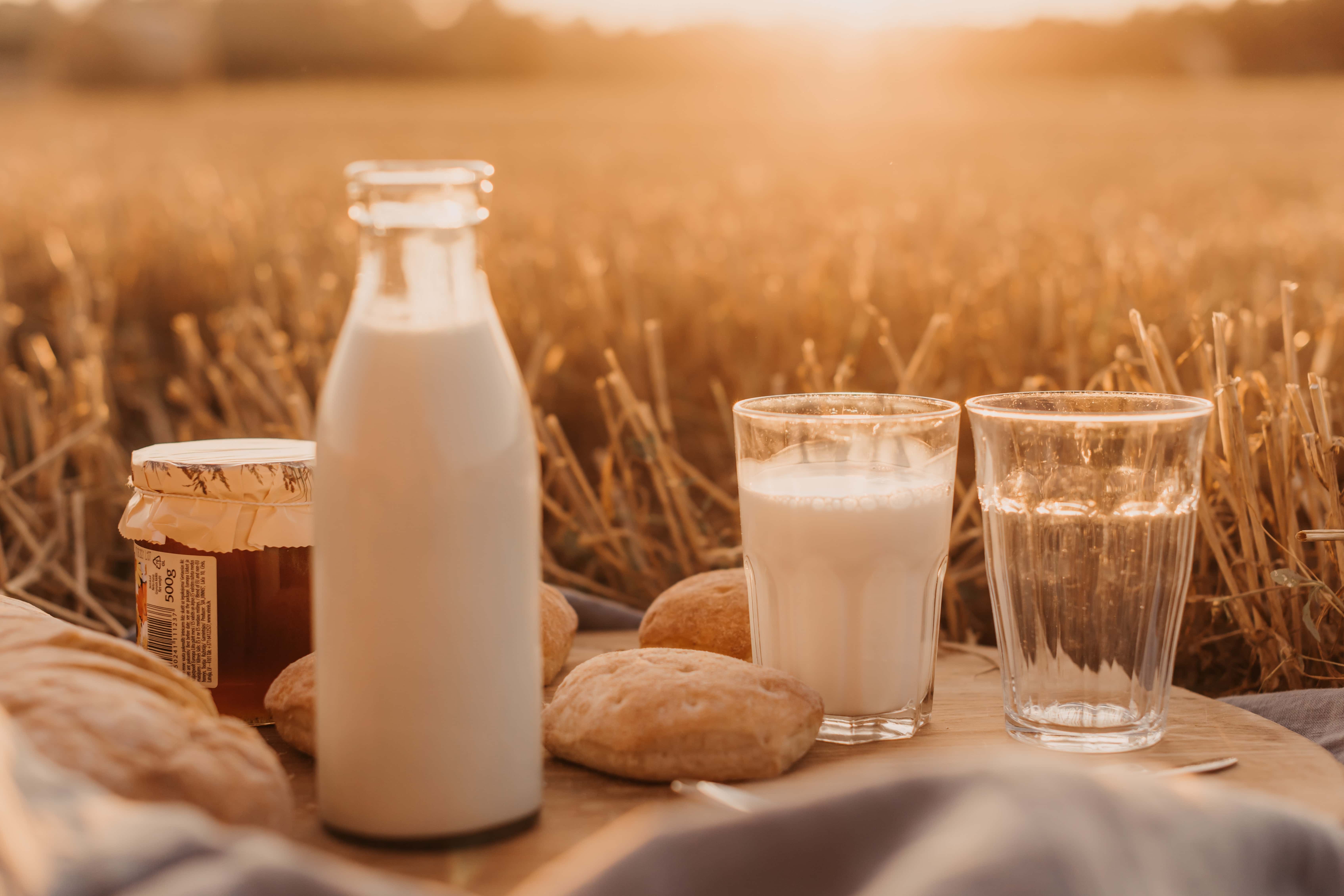 ¿A qué hora del día es más recomendable tomar leche?