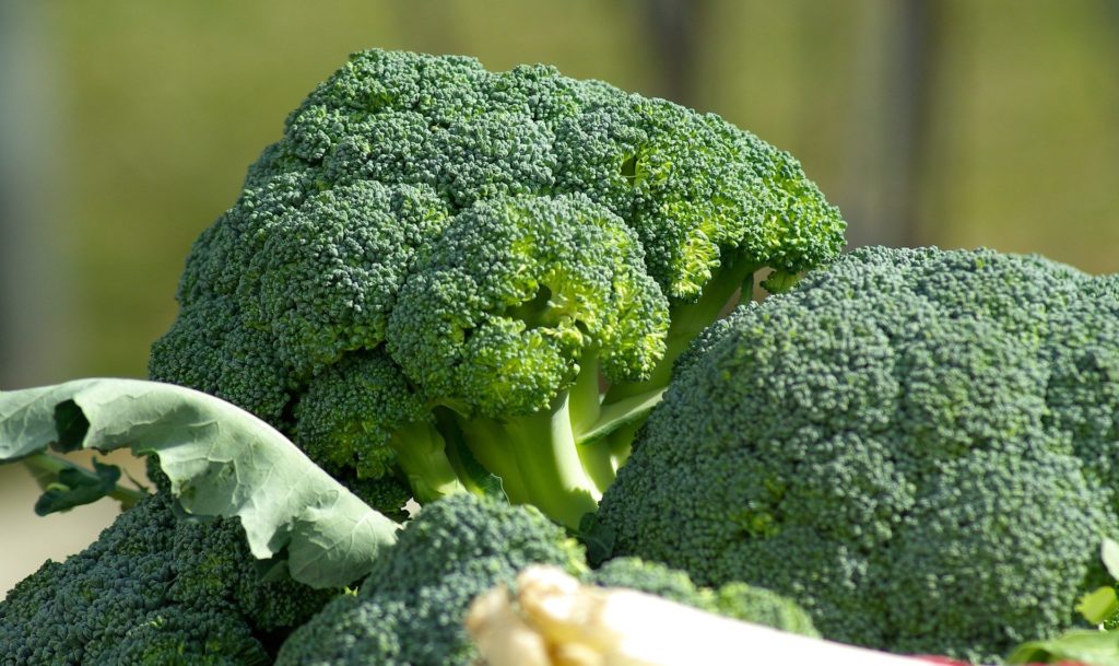 alimentos naturales brocoli