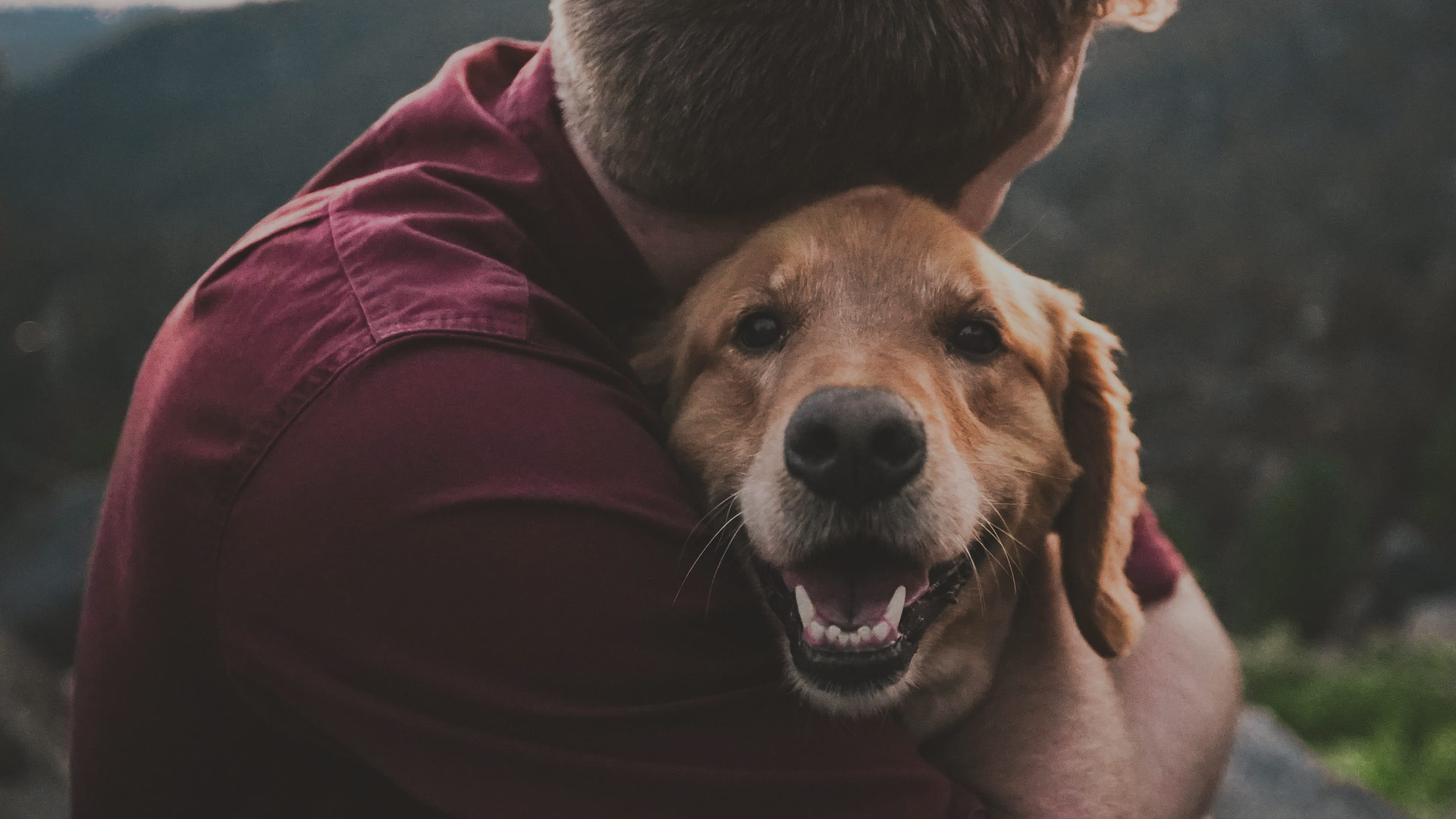 Animales y veterinaria. Espacio 360