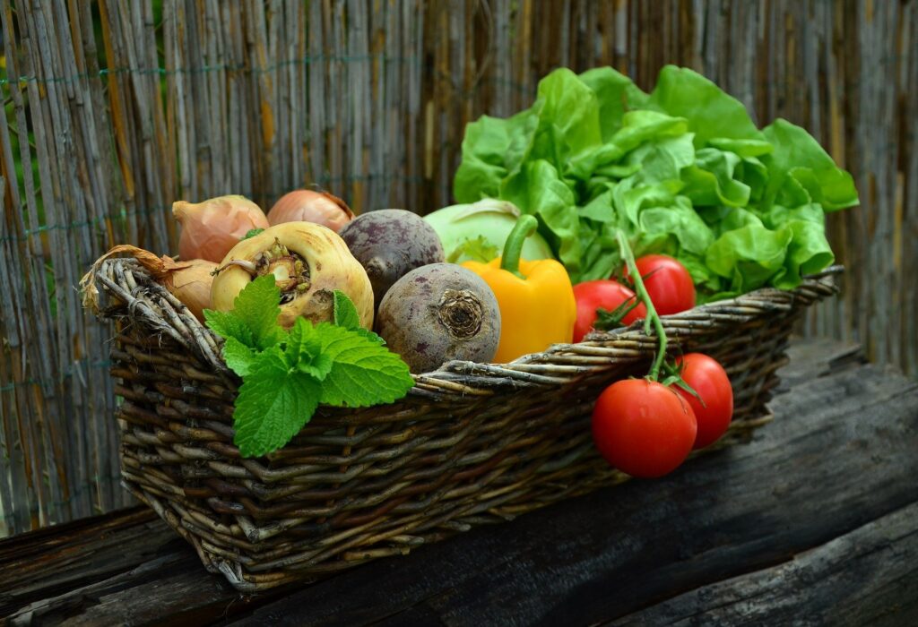 vegetales estilo de vida saludable