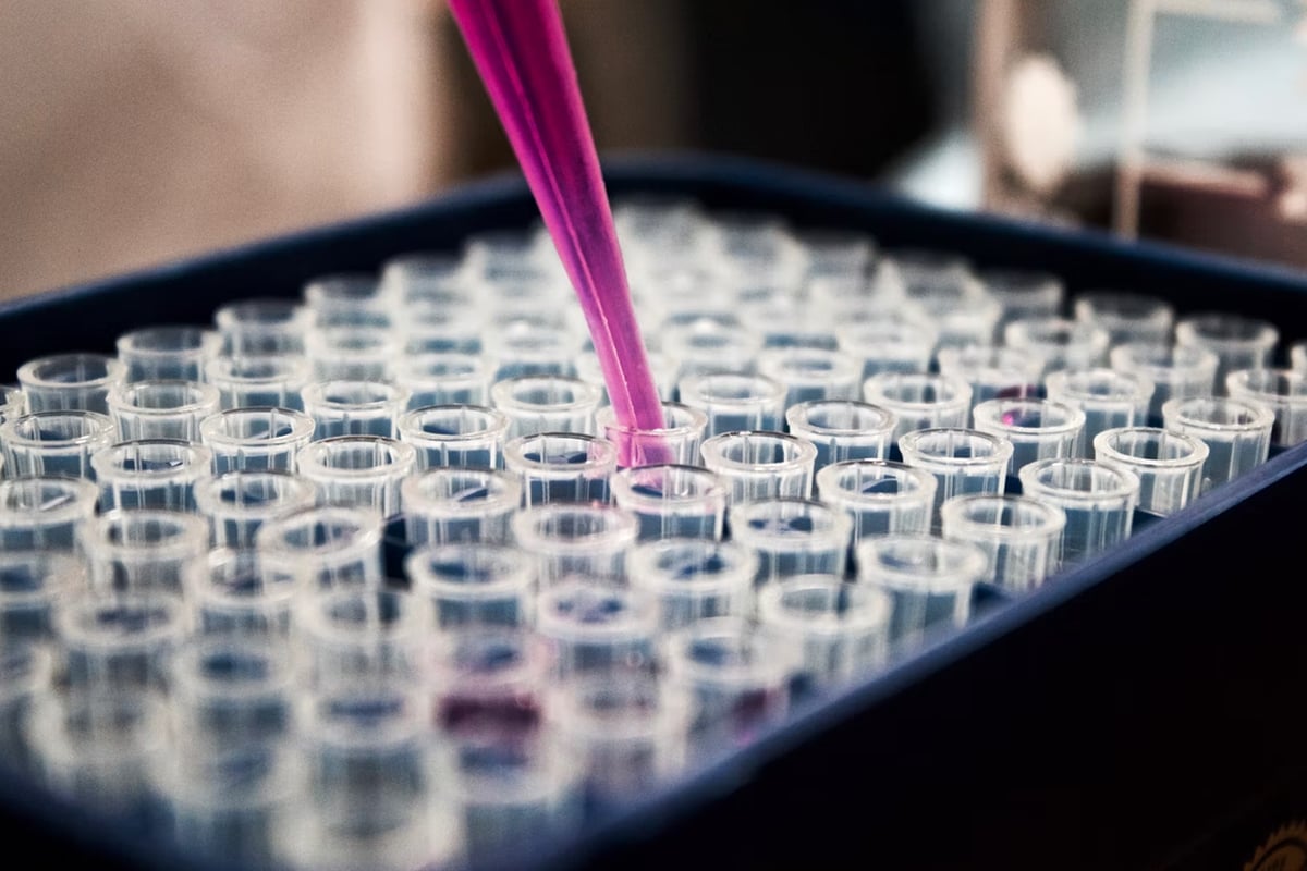 La biotecnología dentro de la agroalimentación