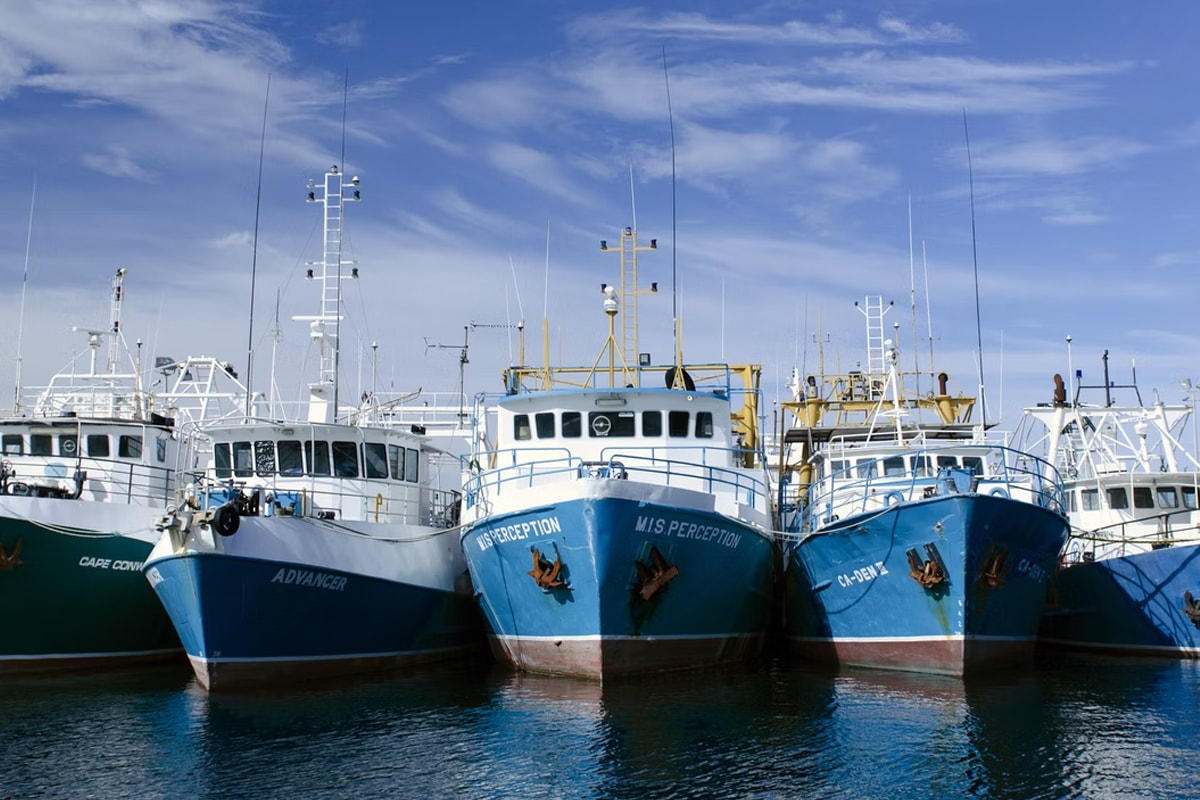 La importancia del sector pesquero