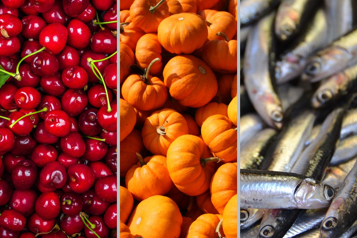 Productos de temporada: cereza, calabaza y sardina
