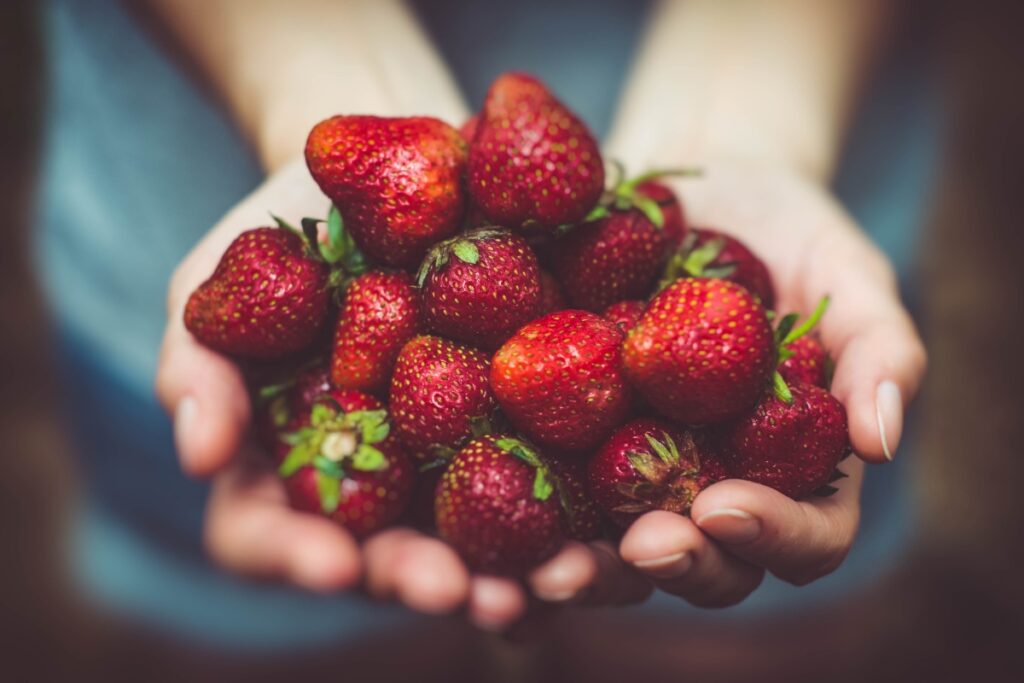 fresas la calidad que te sienta bien