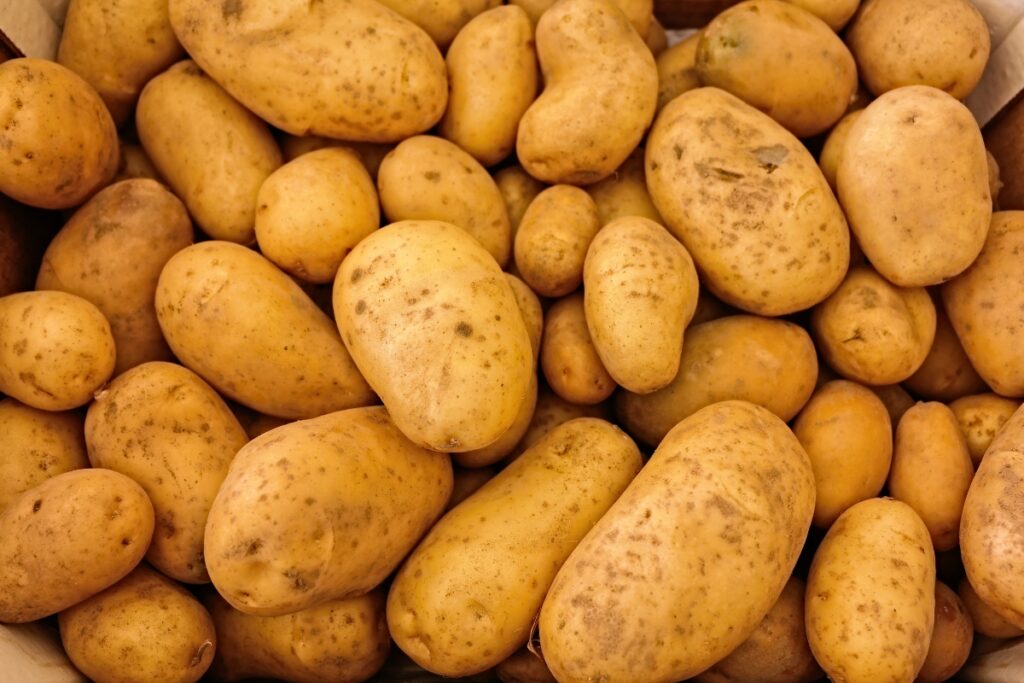 patata nueva portada