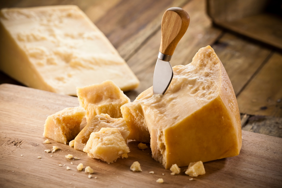 el queso perfecto para cada ocasion