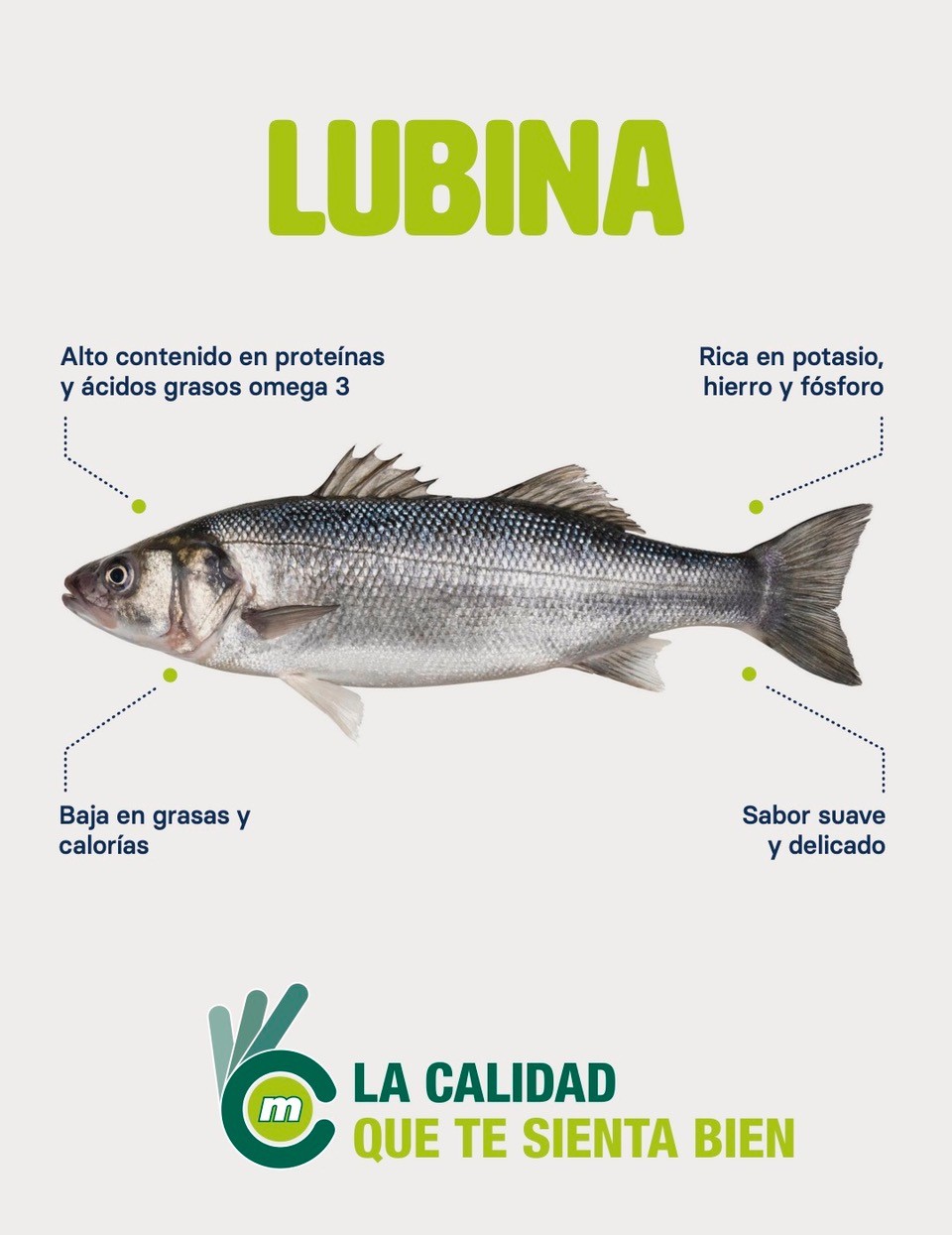 lubina producto estrella