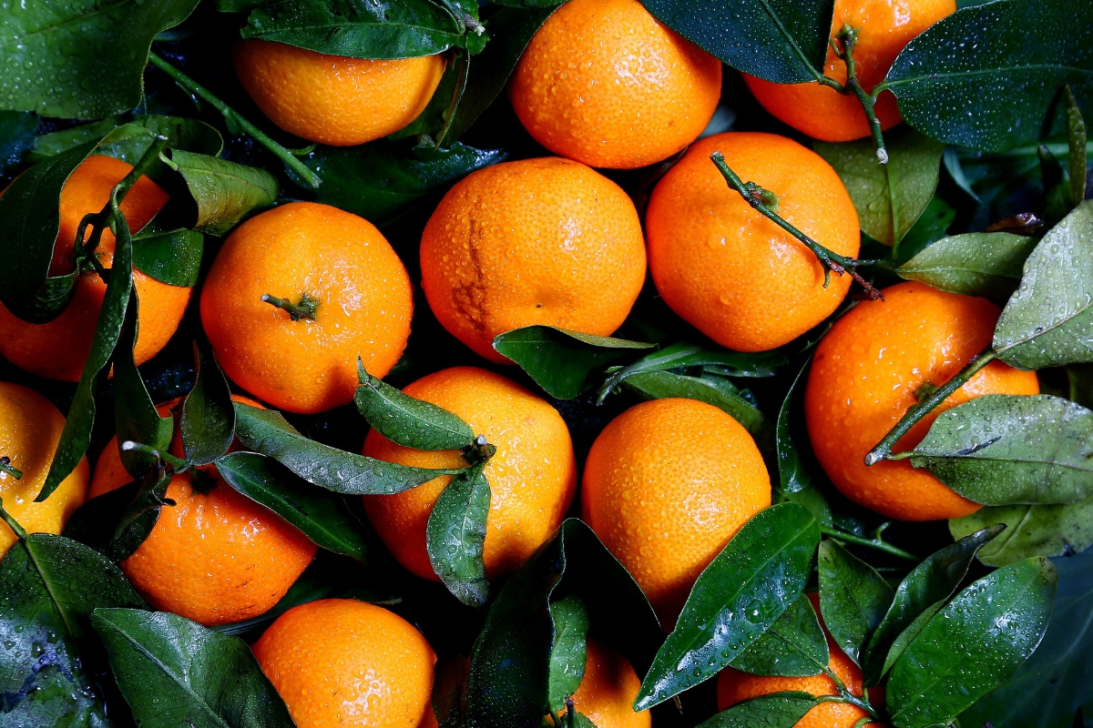 naranja producto de calidad portada