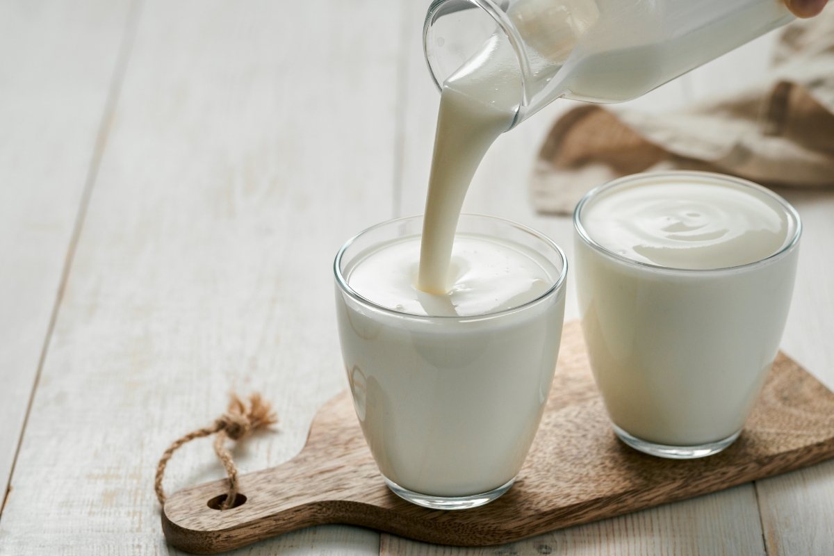 alimentos fermentados