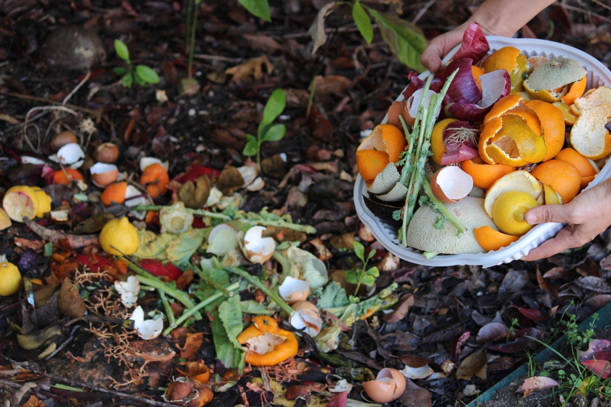 compost casero