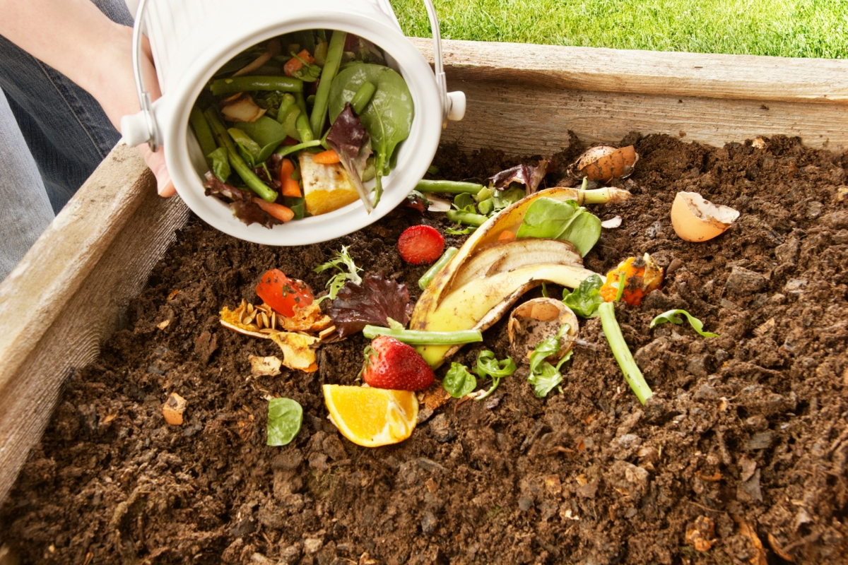 compost casero