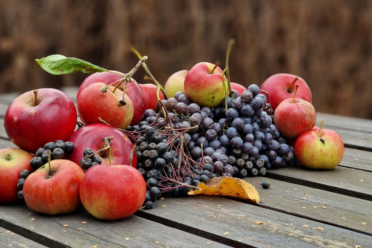 antioxidantes