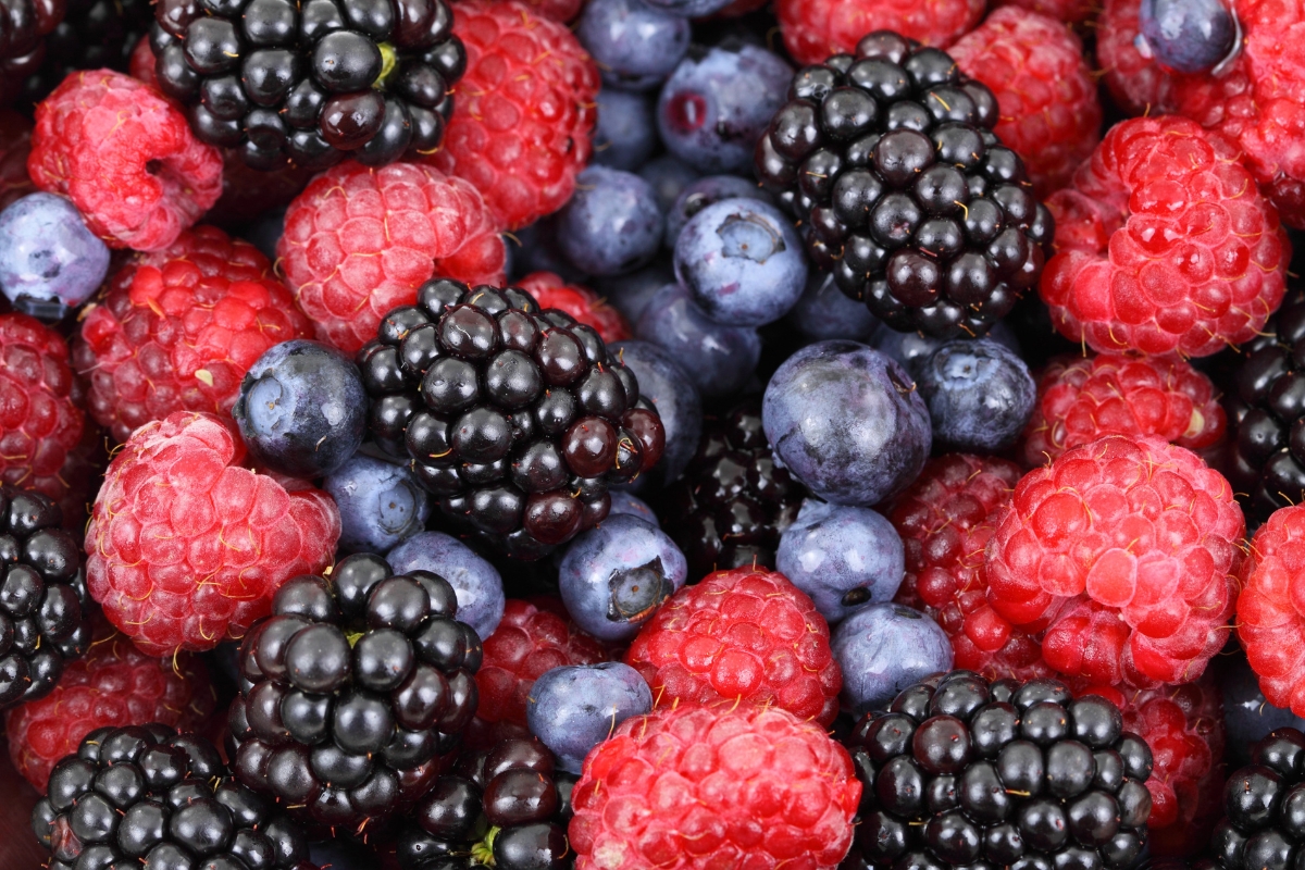 antioxidantes