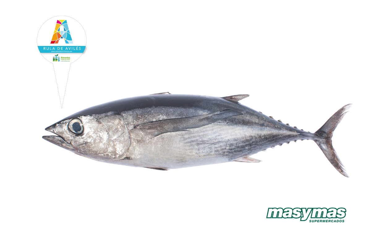 bonito
