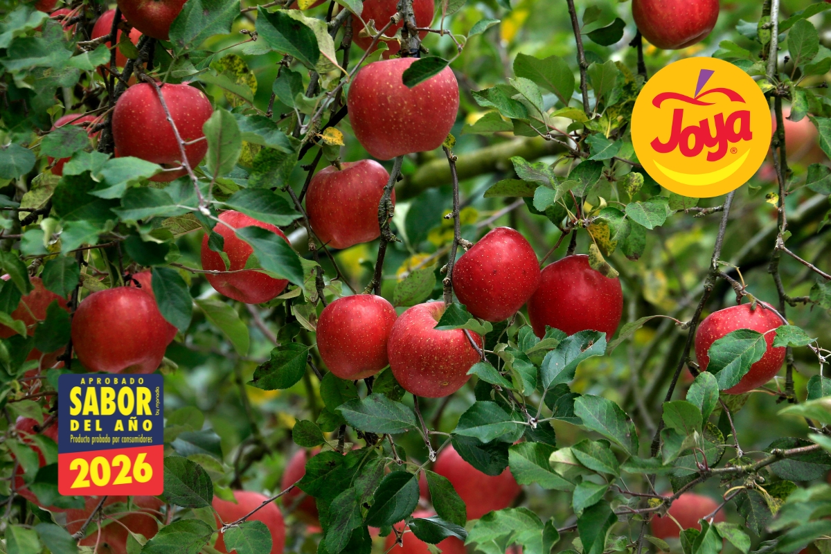 manzana joya