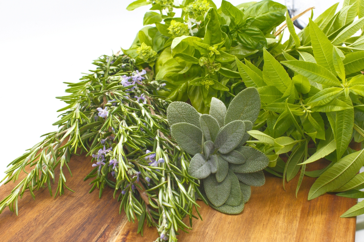 hierbas aromaticas